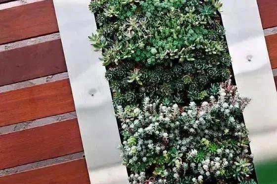 如何打造自然庭院?