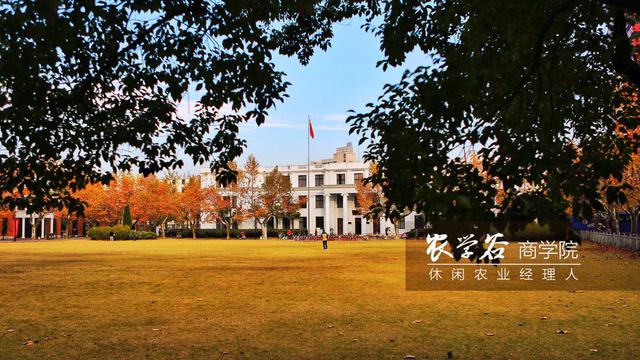 如果你在农村有一个小庭院，你会如何装饰庭院？