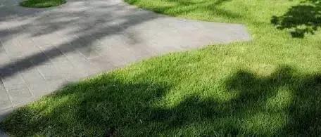 如何打造自然庭院?