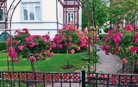 如何打造自然庭院?