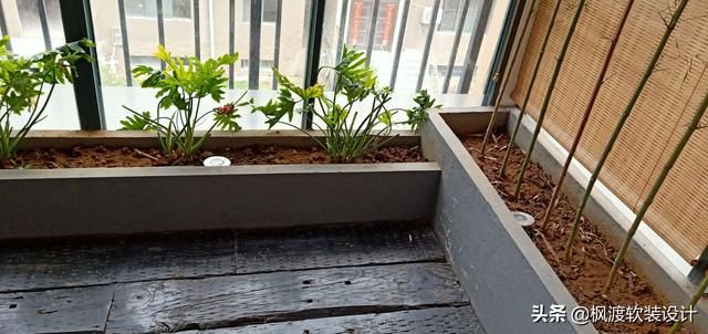 打造自己的小茶馆，需要什么安排？