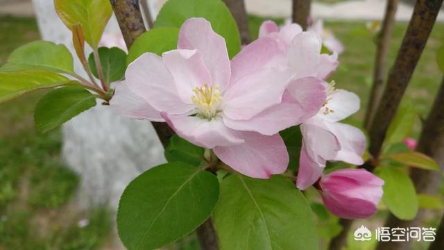 目前哪家银行理财产品收益最高？