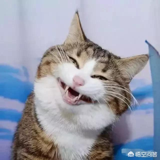 目前哪家银行理财产品收益最高？