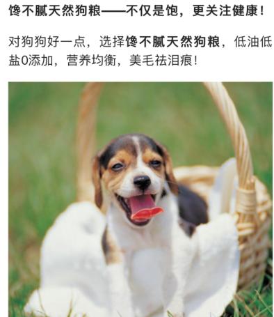 客厅怎么搭配更都雅？