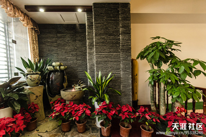 在深圳宝安区发现一间情况超好，工具超好吃的素食茶馆！！！