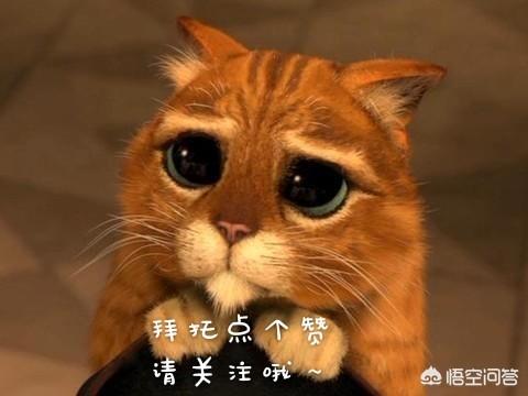 能不克不及把客厅拆修成书房？