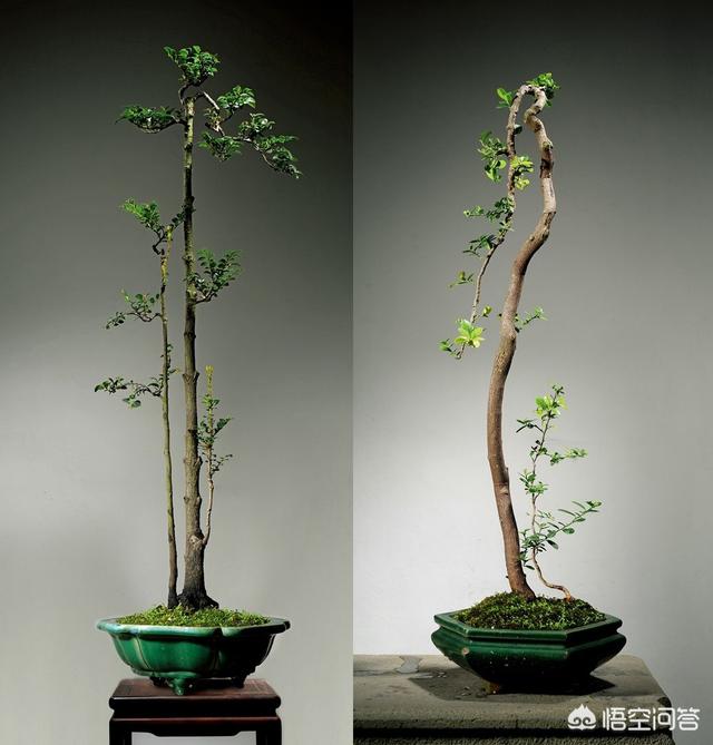 若何安插书房？