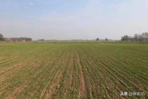 小麦播种机中间播种太深怎么办?