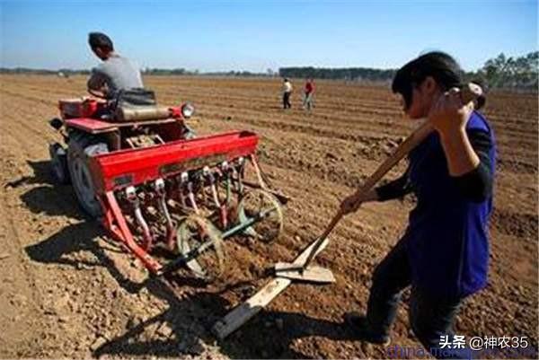 小麦播种机中间播种太深怎么办?