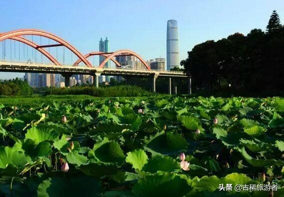 深圳周边有哪些人少景美合适周末或小长假去的处所？