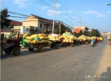 将来十天玉米行情若何，吉林市的？