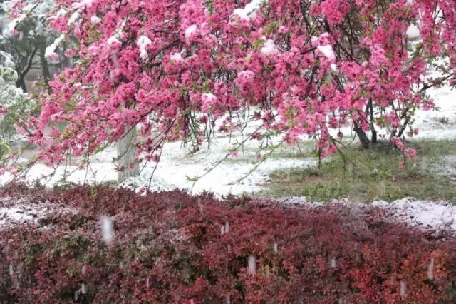 石家庄有哪些城市文化手刺？