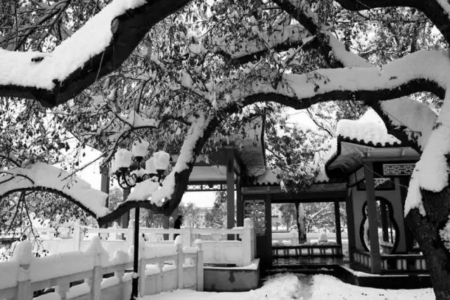 石家庄有哪些城市文化手刺？