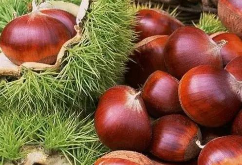 石家庄有哪些城市文化手刺？