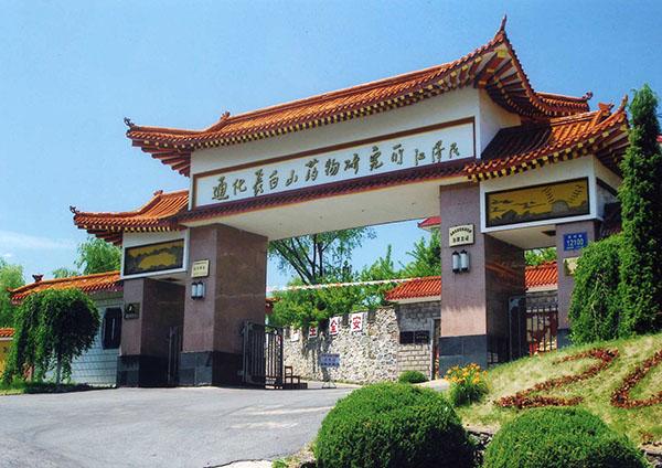 通化市都有哪些医药财产？