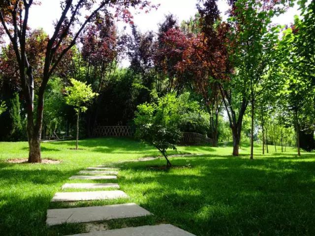 石家庄有哪些城市文化手刺？