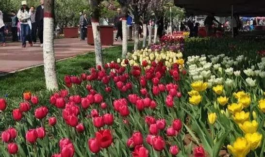 石家庄有哪些城市文化手刺？