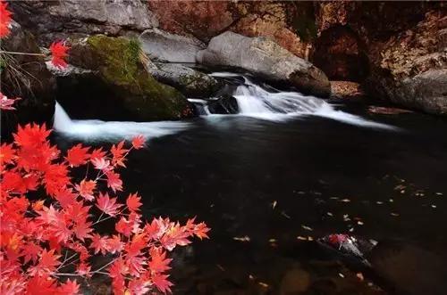 通化有什么好玩的处所吗？