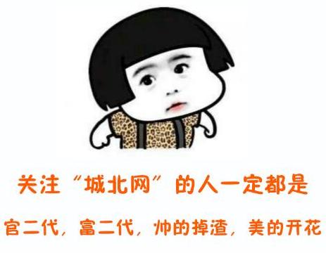 石家庄有哪些城市文化手刺？