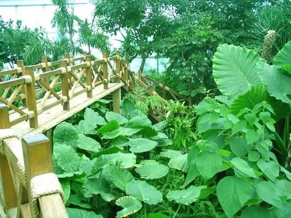 石家庄有哪些城市文化手刺？