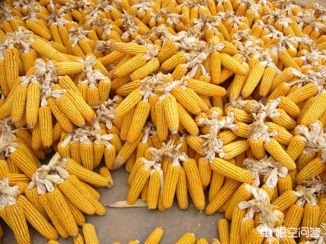 比来通化有哪些苍生新闻？