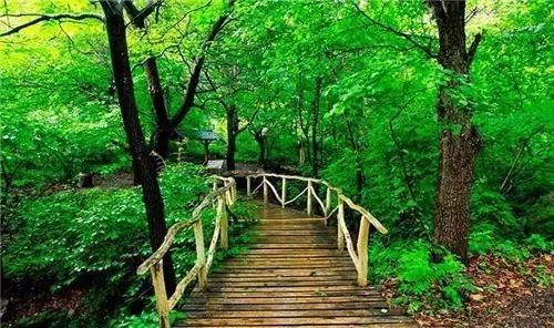 通化有什么好玩的处所吗？