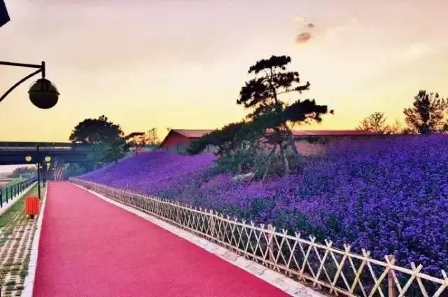 石家庄有哪些城市文化手刺？