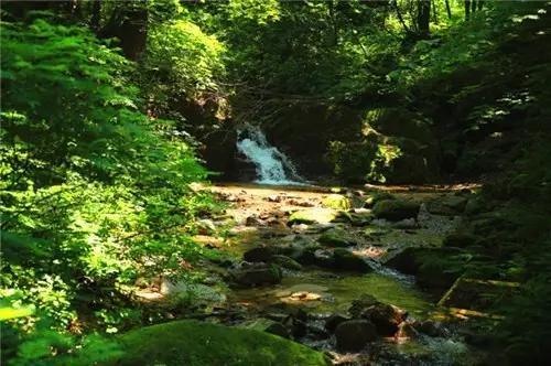 通化有什么好玩的处所吗？