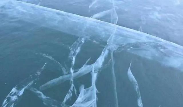 若何对待吉林通化几名网红水库冰面上驾车玩漂移，不幸落水灭亡？