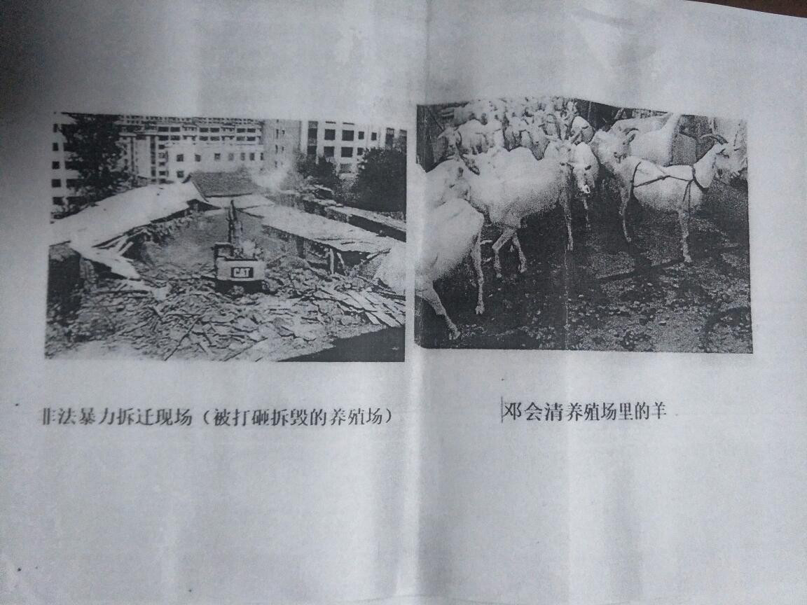 吉林省通化市东昌区三道沟强迁邓会清养殖场 不做为 乱做为