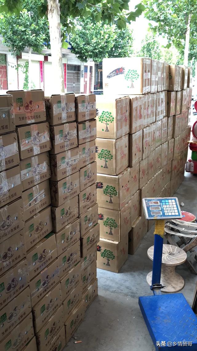 2020年农产物市场怎么样？