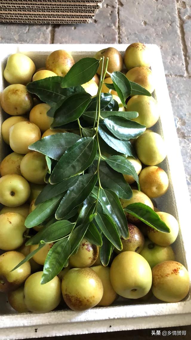 2020年农产物市场怎么样？