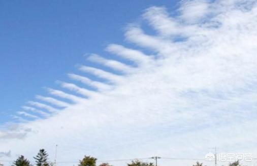 汶川地震发作前有预兆吗？