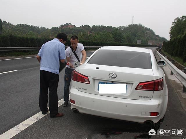 保险公司有哪些免费的办事？