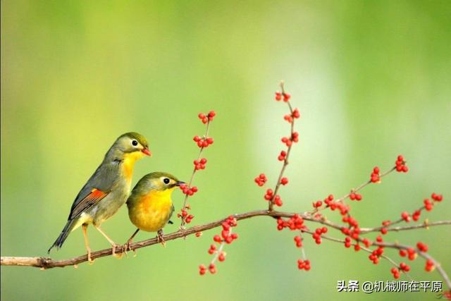 有没有类似吹灭读书灯，一身都是月的诗句？