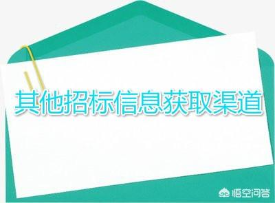 我要怎么及时的获取最新的招标信息？