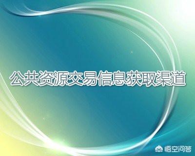 我要怎么及时的获取最新的招标信息？