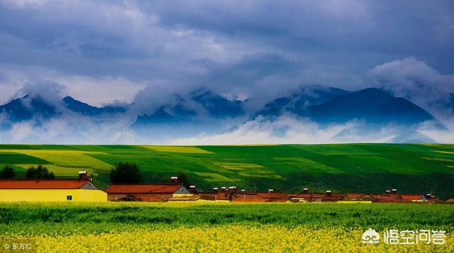 给你选择一个免费的国内游，你首选哪里？