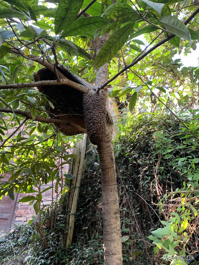 哪些平台能够找到注塑订单？