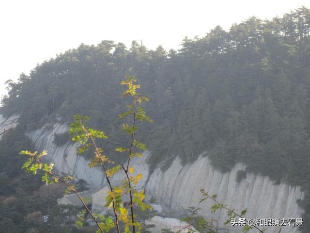 近期国内有哪些出名景区实行临时免费，值得一去的保举下？