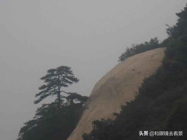 近期国内有哪些出名景区实行临时免费，值得一去的保举下？