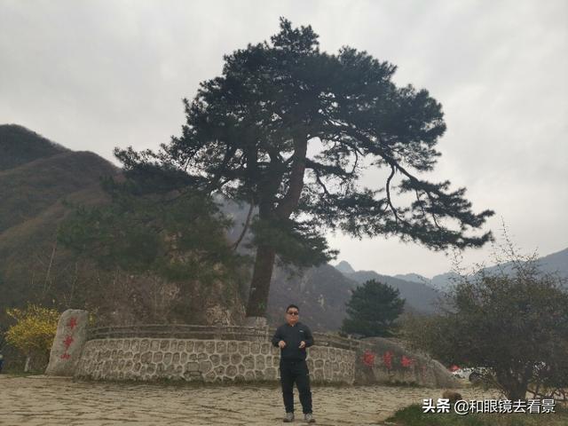 近期国内有哪些出名景区实行临时免费，值得一去的保举下？