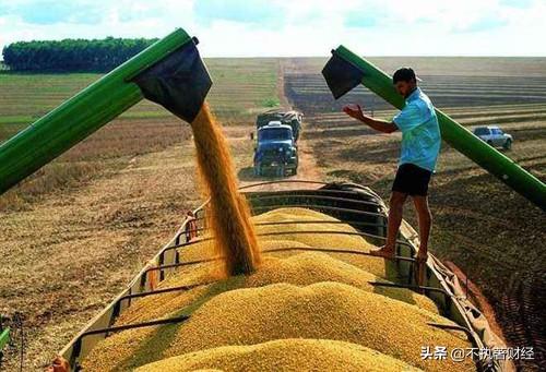 越南反悔限造粮食出口，俄罗斯销售8成储蓄粮！释放什么信号？