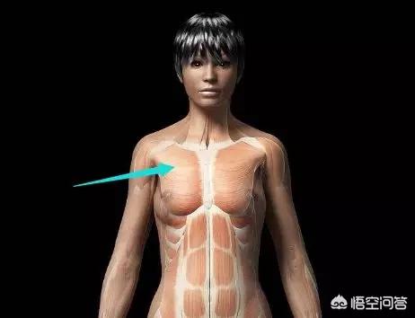 怎么丰胸最有效?