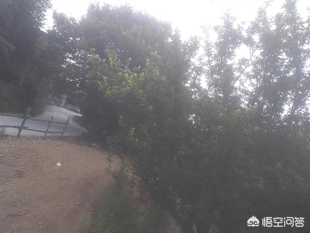 我们明明那么接近，说说你的故事怎么样？