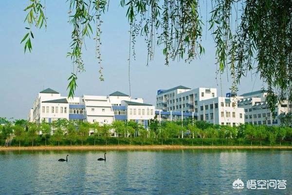 合肥工业大学的信息与计算科学怎么样？