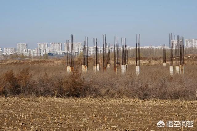 东北齐齐哈尔、通化和丹东，谁会成为二线城市？