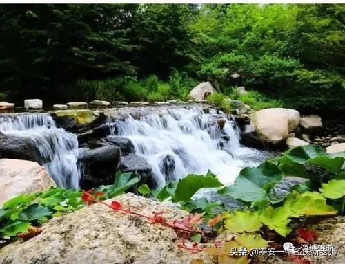 在泰安，情侣约会哪个处所比力好？