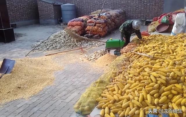 本年玉米芯生意好做吗，想返乡创业做玉米芯生意？