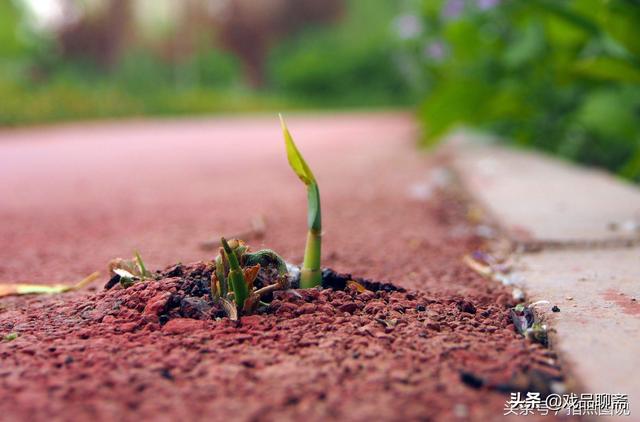 南京江宁一出租屋内一对年轻男女身亡，那是怎么回事？